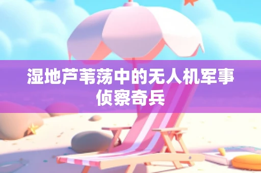 湿地芦苇荡中的无人机军事侦察奇兵