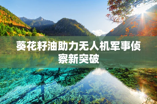 葵花籽油助力无人机军事侦察新突破