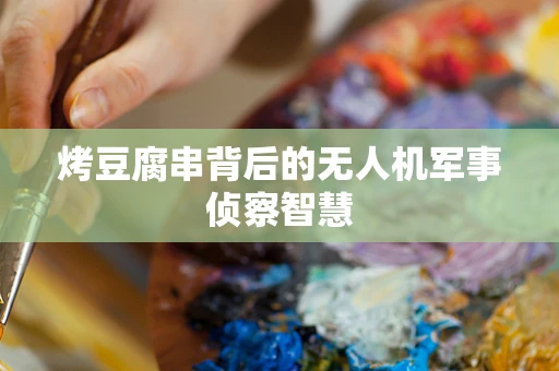 烤豆腐串背后的无人机军事侦察智慧