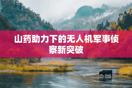 山药助力下的无人机军事侦察新突破