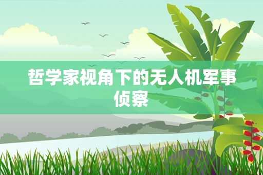 哲学家视角下的无人机军事侦察