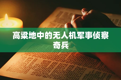 高粱地中的无人机军事侦察奇兵