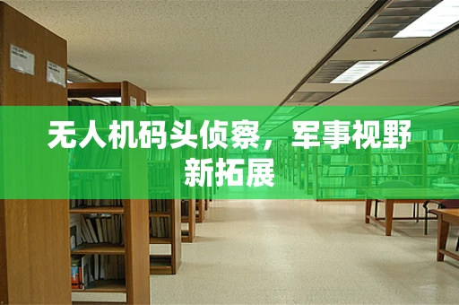 无人机码头侦察，军事视野新拓展