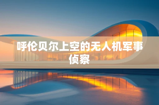 呼伦贝尔上空的无人机军事侦察