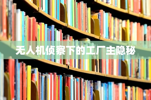无人机侦察下的工厂主隐秘