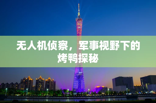 无人机侦察，军事视野下的烤鸭探秘