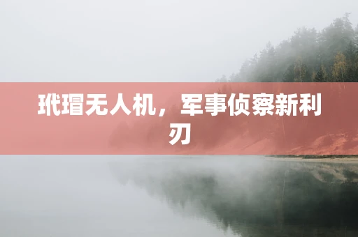 玳瑁无人机，军事侦察新利刃