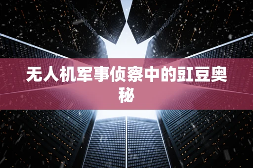 无人机军事侦察中的豇豆奥秘