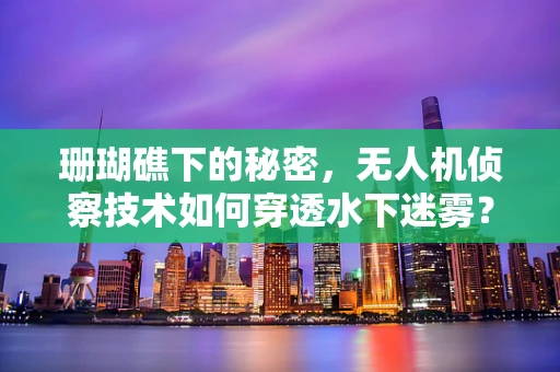 珊瑚礁下的秘密，无人机侦察技术如何穿透水下迷雾？
