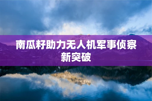 南瓜籽助力无人机军事侦察新突破