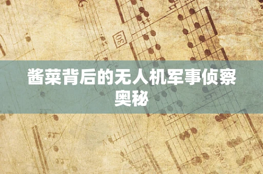 酱菜背后的无人机军事侦察奥秘