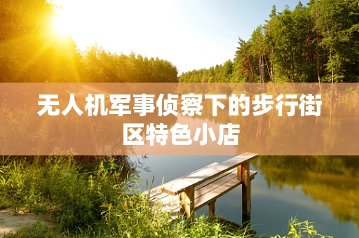 无人机军事侦察下的步行街区特色小店