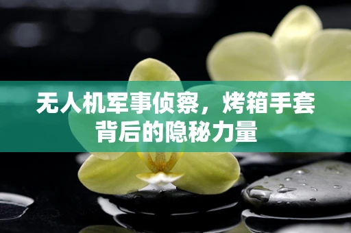 无人机军事侦察，烤箱手套背后的隐秘力量