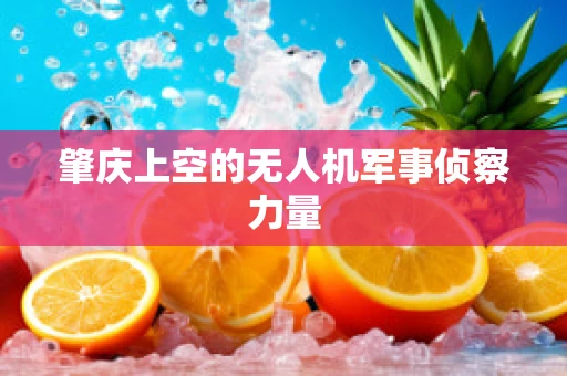 肇庆上空的无人机军事侦察力量