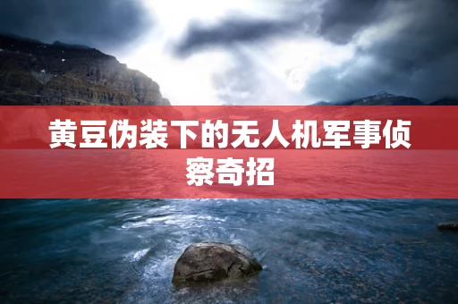 黄豆伪装下的无人机军事侦察奇招