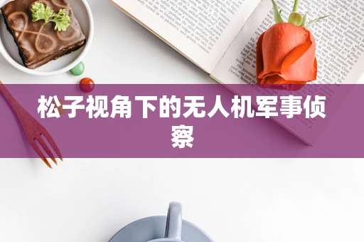松子视角下的无人机军事侦察