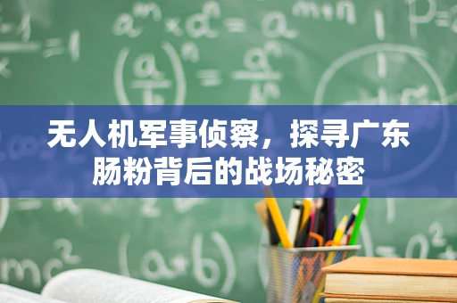 无人机军事侦察，探寻广东肠粉背后的战场秘密