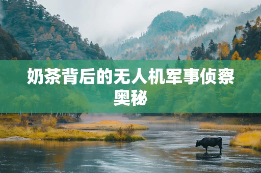 奶茶背后的无人机军事侦察奥秘