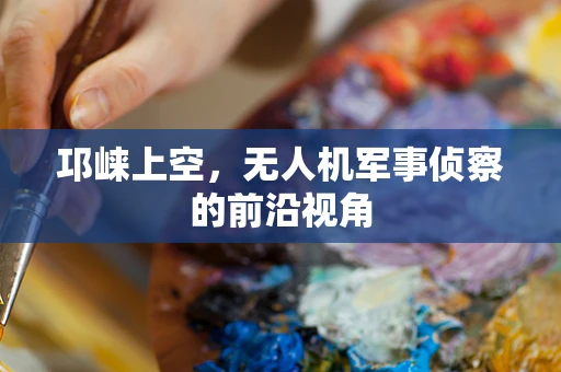 邛崃上空，无人机军事侦察的前沿视角