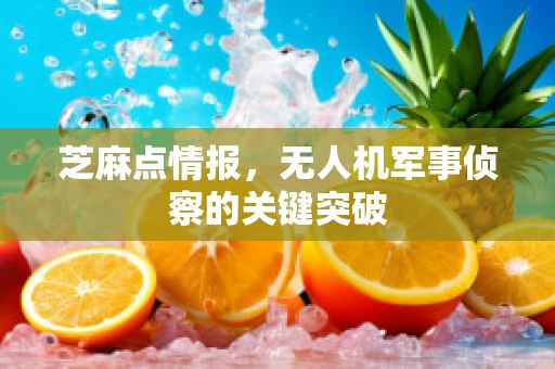 芝麻点情报，无人机军事侦察的关键突破