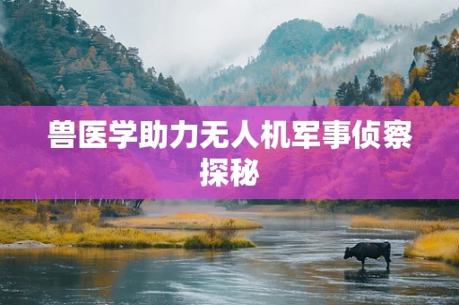 兽医学助力无人机军事侦察探秘