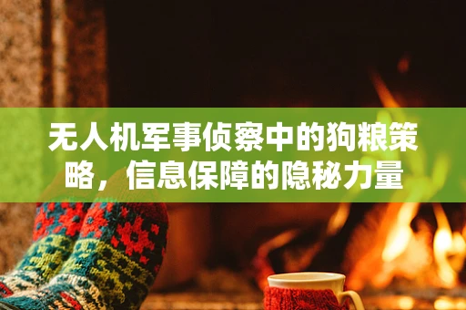 无人机军事侦察中的狗粮策略，信息保障的隐秘力量