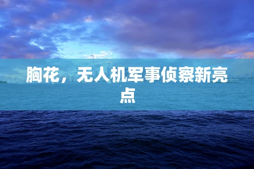 胸花，无人机军事侦察新亮点