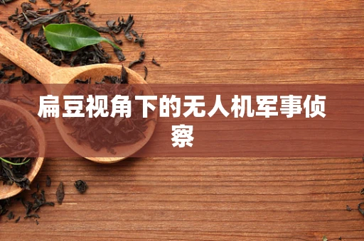 扁豆视角下的无人机军事侦察