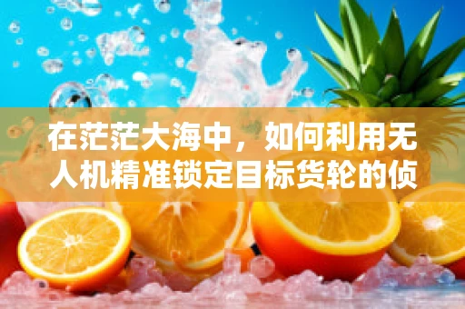 在茫茫大海中，如何利用无人机精准锁定目标货轮的侦察策略？