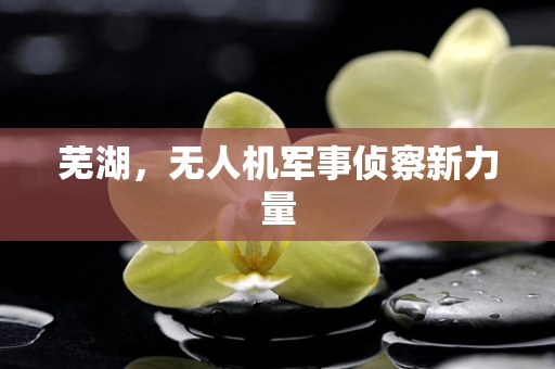 芜湖，无人机军事侦察新力量