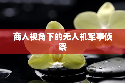 商人视角下的无人机军事侦察