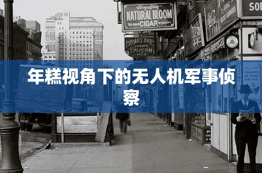 年糕视角下的无人机军事侦察