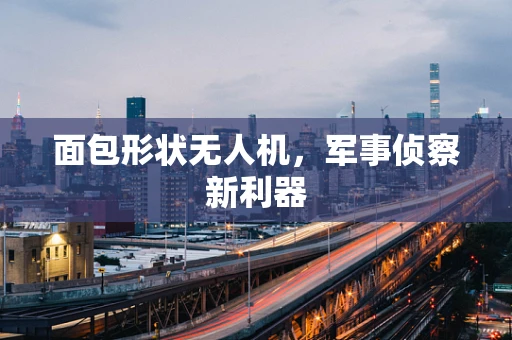面包形状无人机，军事侦察新利器