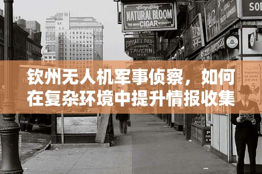 钦州无人机军事侦察，如何在复杂环境中提升情报收集效率？
