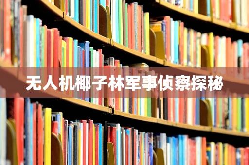 无人机椰子林军事侦察探秘