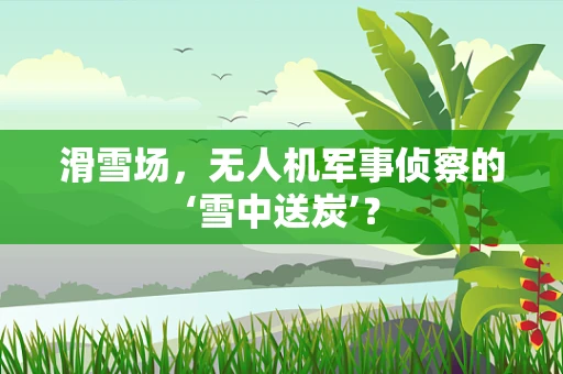 滑雪场，无人机军事侦察的‘雪中送炭’？