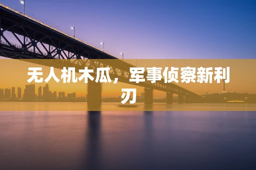 无人机木瓜，军事侦察新利刃