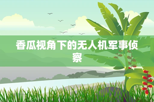 香瓜视角下的无人机军事侦察