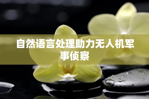 自然语言处理助力无人机军事侦察