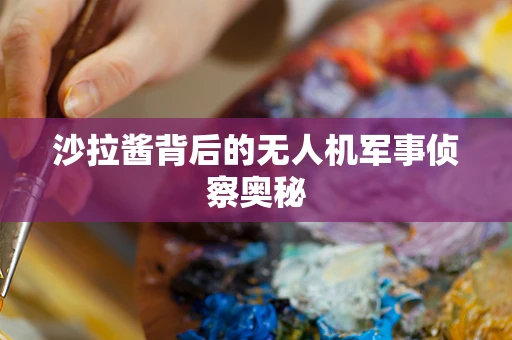 沙拉酱背后的无人机军事侦察奥秘