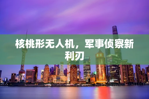 核桃形无人机，军事侦察新利刃