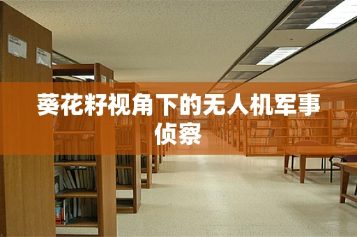 葵花籽视角下的无人机军事侦察