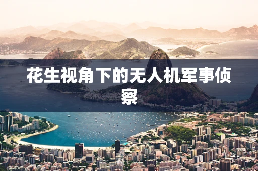 花生视角下的无人机军事侦察