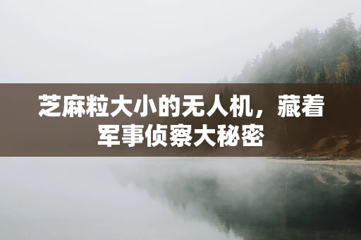 芝麻粒大小的无人机，藏着军事侦察大秘密