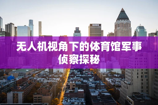 无人机视角下的体育馆军事侦察探秘