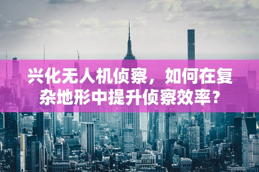 兴化无人机侦察，如何在复杂地形中提升侦察效率？
