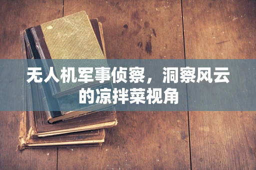 无人机军事侦察，洞察风云的凉拌菜视角