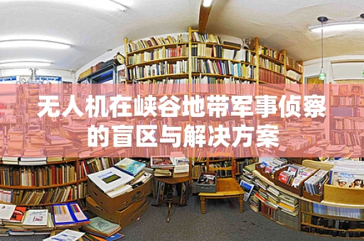 无人机在峡谷地带军事侦察的盲区与解决方案