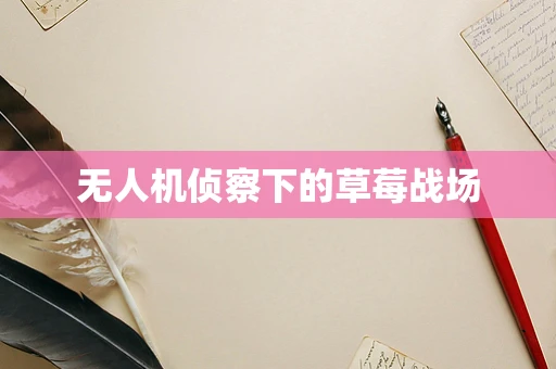 无人机侦察下的草莓战场