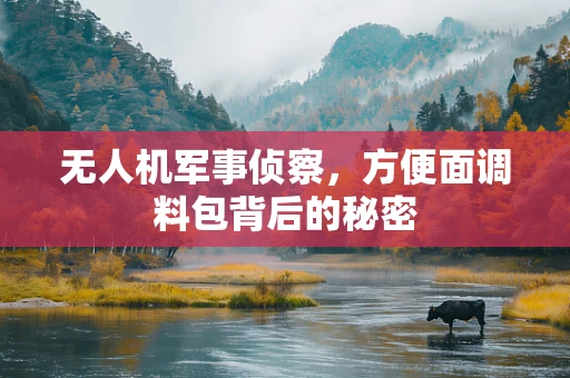 无人机军事侦察，方便面调料包背后的秘密